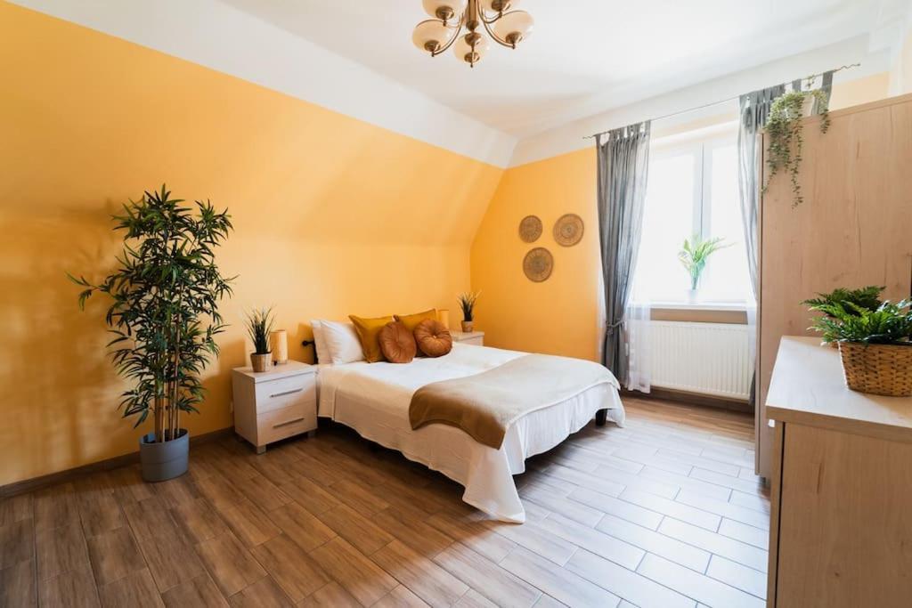 Market Square - Street Rynek 24 -2 Rooms Wroclaw Bagian luar foto